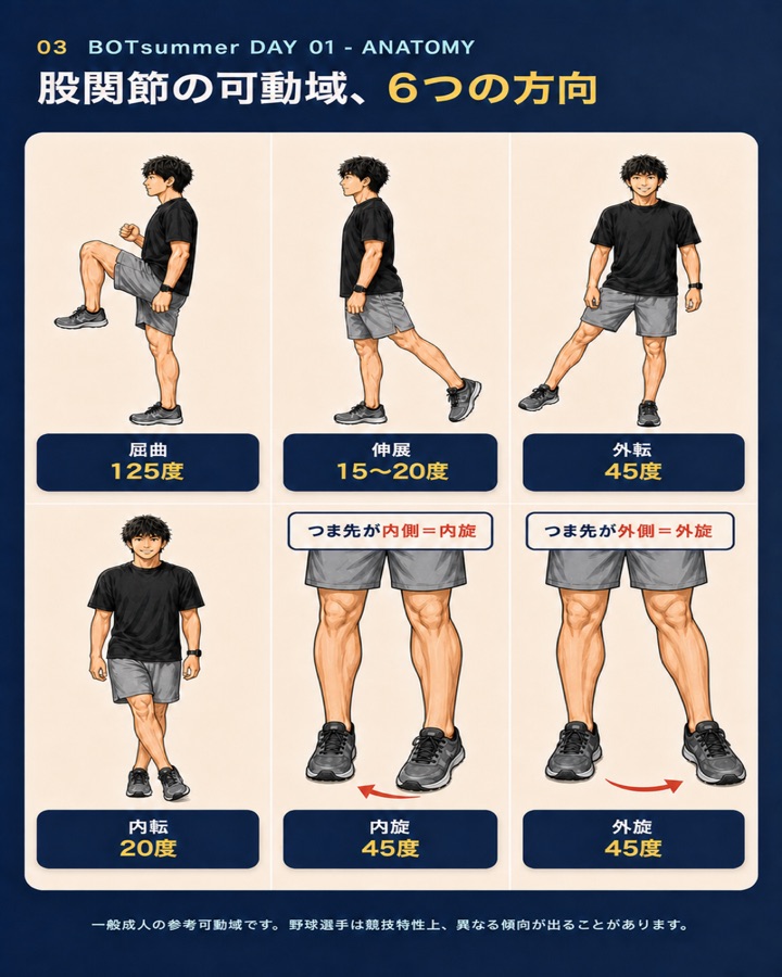 股関節の可動域6方向