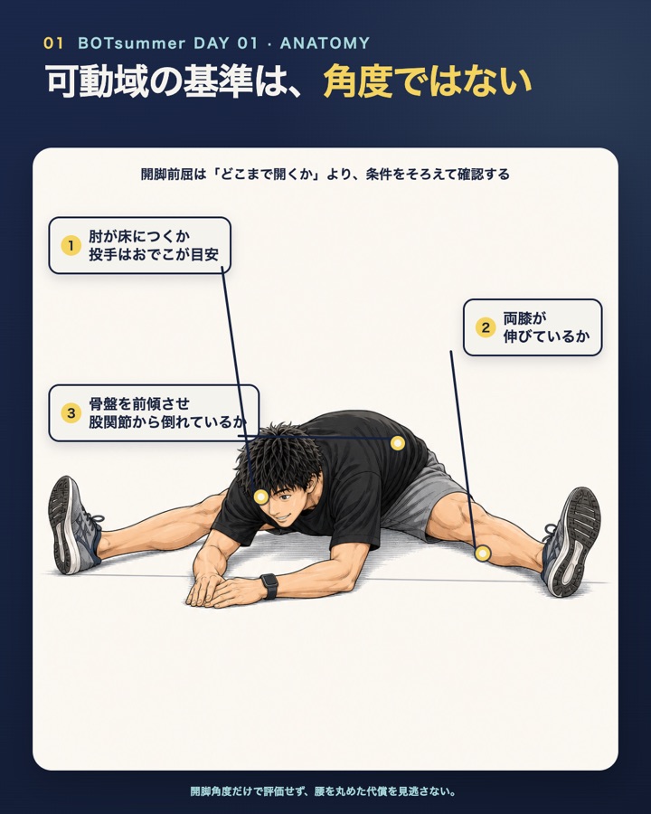 開脚前屈で見る3つのポイント